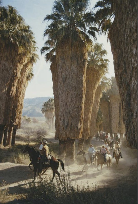 Palm Springs Riders by Slim Aarons - Group of horse riders among Washingtonia palms in Andreas Canyon, Palm Springs, southern California, January 1970