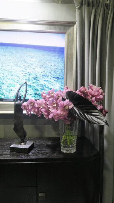 TV-Mirrors at No Vacancy