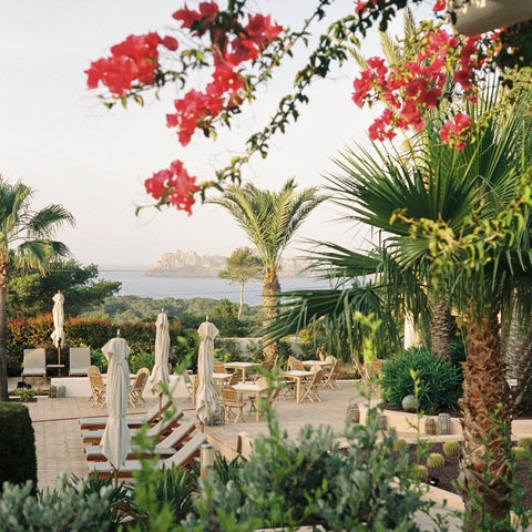 Petunia Gardens