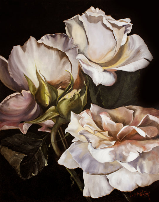 Capri by Diana Watson - A still life art print of roses in soft lilac tones against a black background.