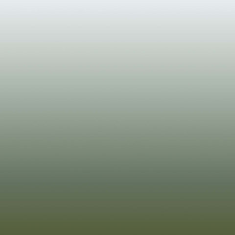 Gradient 019 Open Edition Print by Third & Wall - An art print with sage green gradient effect.