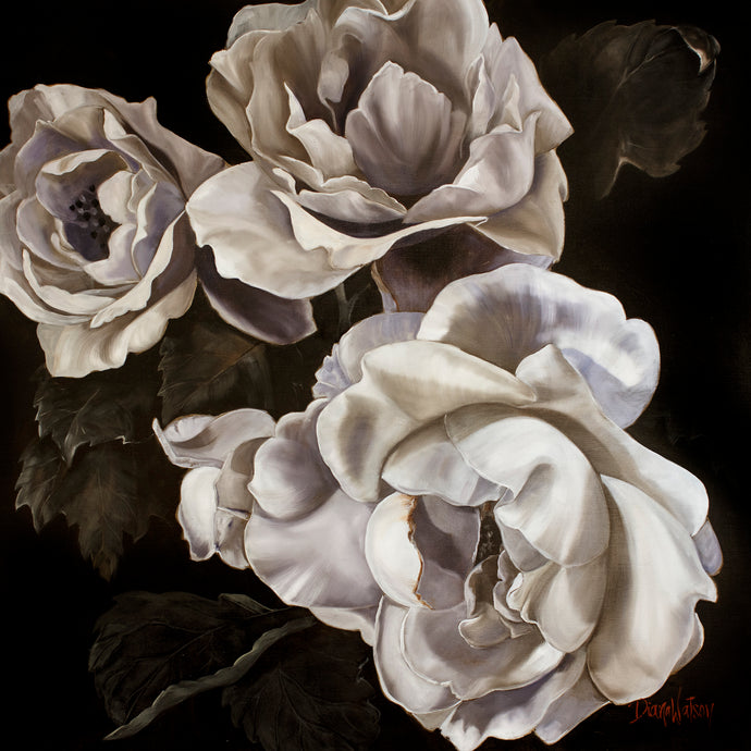 Lido by Diana Watson - A still life art print of roses in soft grey tones against a black background.