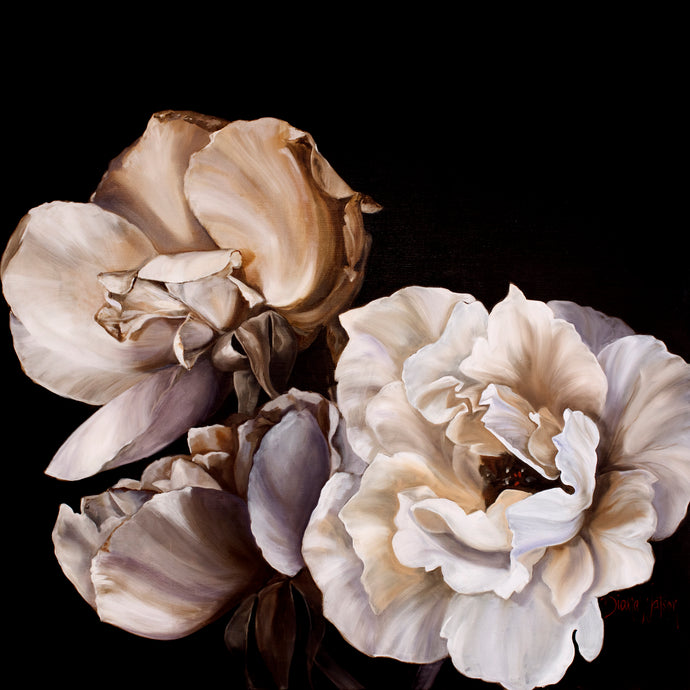 Liguria by Diana Watson - A still life art print of roses in soft lilac tones against a black background.