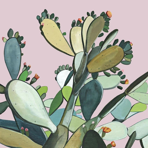 Maudes Cactus