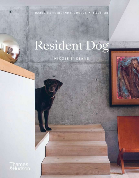 Resident Dog by Nicole England - A book about architectural homes and the dogs that live there.
