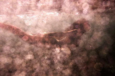 Signature Series - Blush 02 by Francesca Owen - Underwater photographic art print of a woman swimming underwater in pink tones.