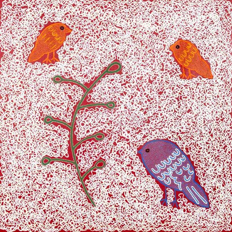 Snake Vine Dreaming by Geraldine Napangardi - An indigenous art print featuring curving lines & vibrant colours.