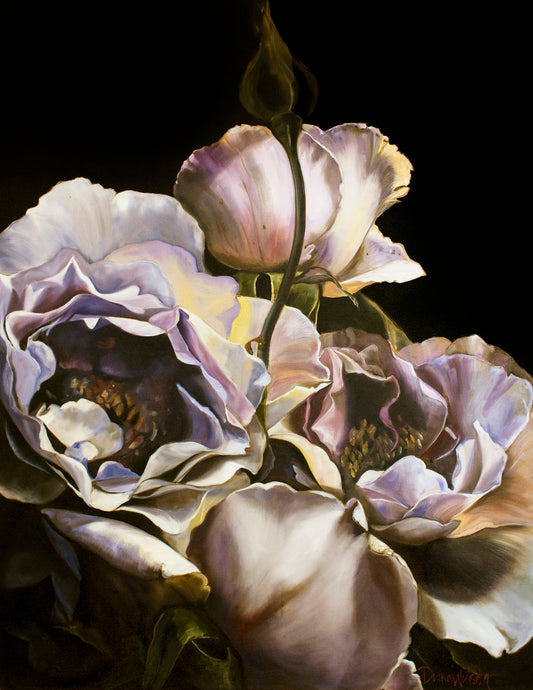 Sorrento by Diana Watson - A still life art print of roses in soft lilac tones against a black background.