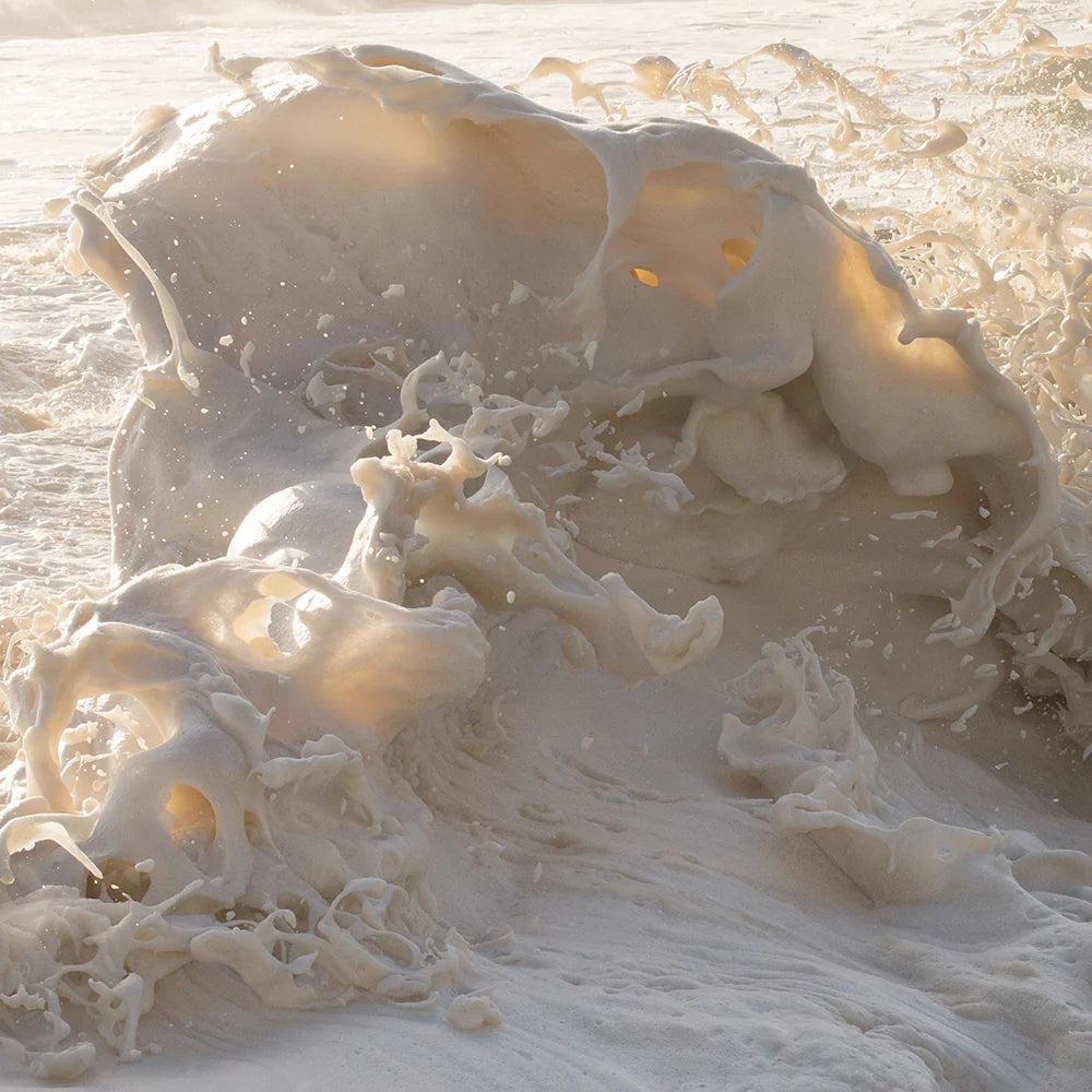Wild Seas Part I, V I