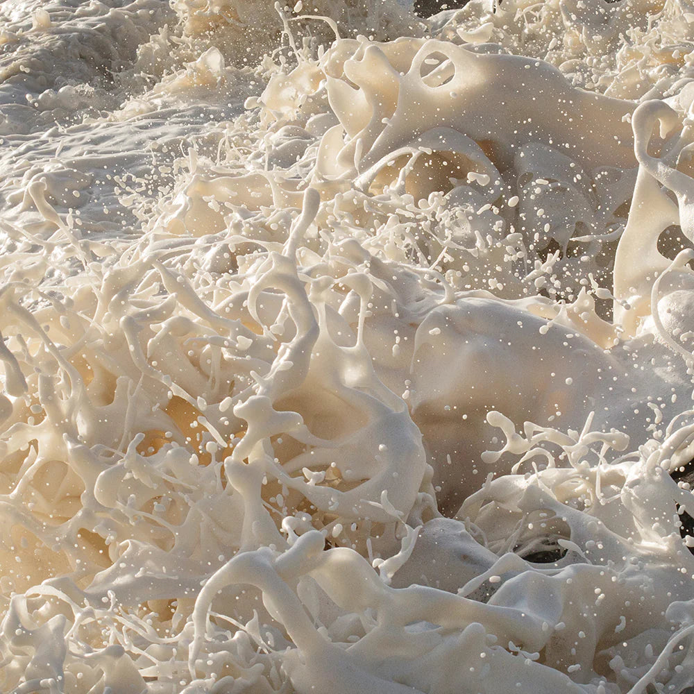 Wild Seas Part I, V2