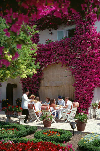Diners in the gardens of the Hotel Villa Enrica on the island of Capri