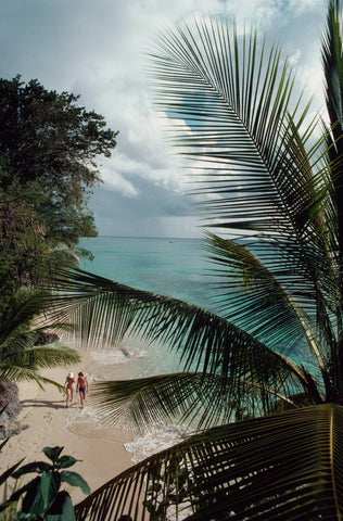 Barbados Beach by Slim Aarons - A photograph captured in 1976 of a couple walking along the beach in the distance and a large palm in the foreground of the image