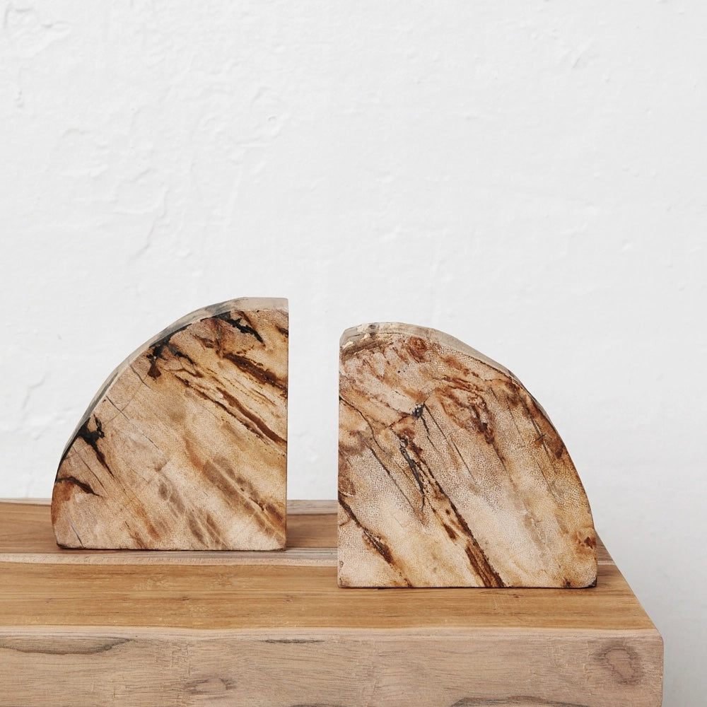 Acadia Petrified Wood Bookends by INARTISAN - A pair of wooden bookends with striped, darkened effect.