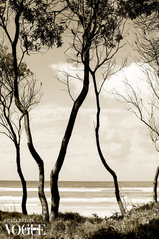 Australian Summer by Kara Rosenlund - Australian landscape photography of a beach scene in neutral colours..