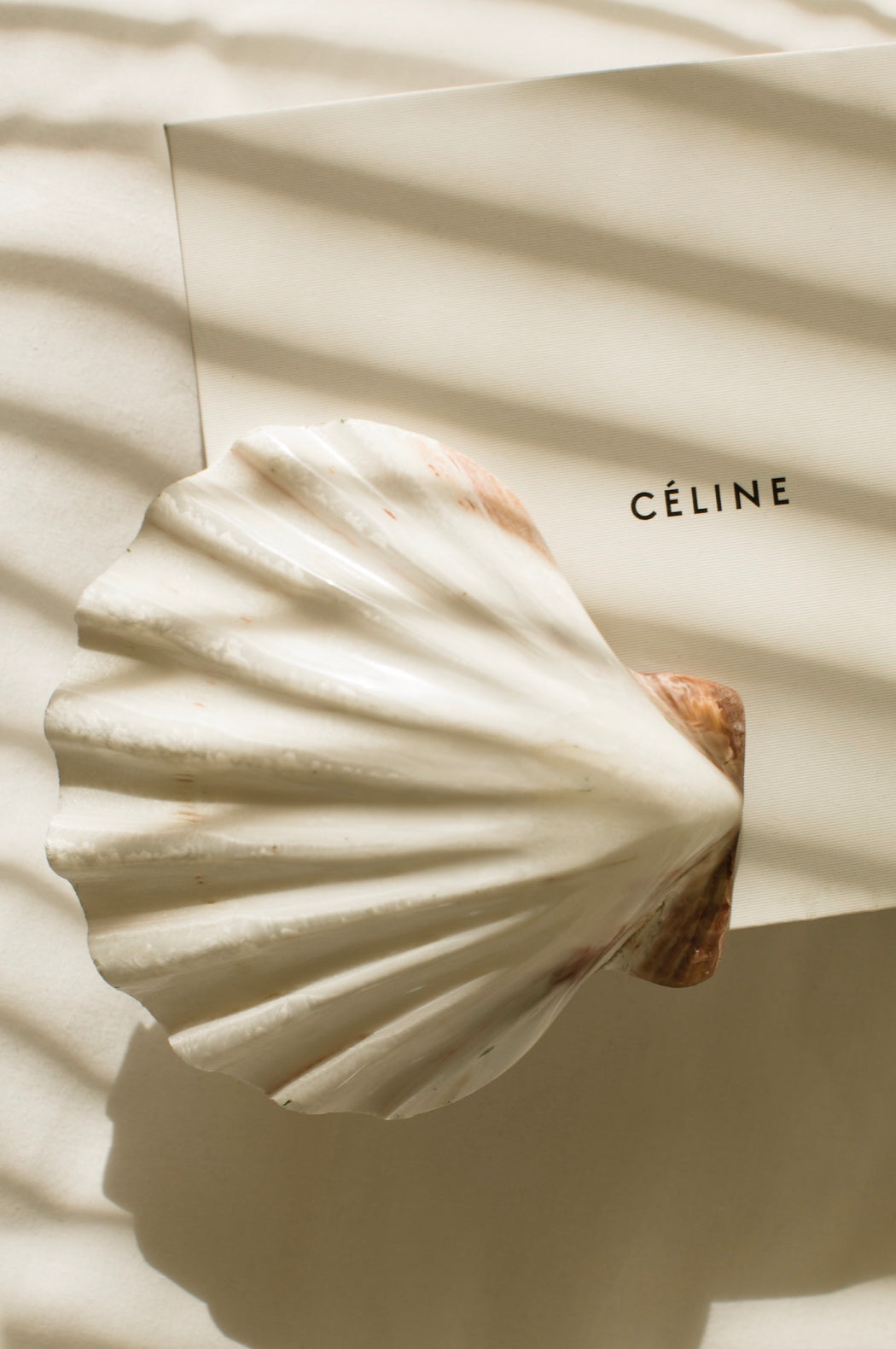 Celine Shadows