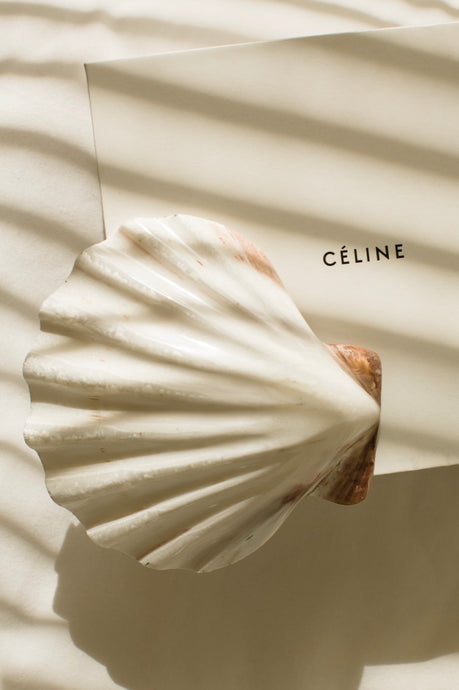 Celine Shadows by Dina Broadhurst- A cream shell sits atop a Céline box and striped shadows cover the vignette in warm afternoon light