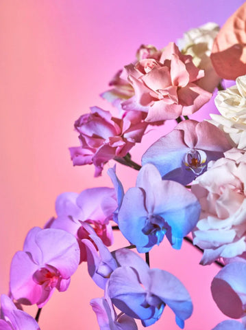 Fever Dream by Giclée Studios - Featuring hand-dyed Phalaenopsis Orchids and Reflexed Roses immersed in an ombré colour-explosion with the glow of glass neons and dichroic film.