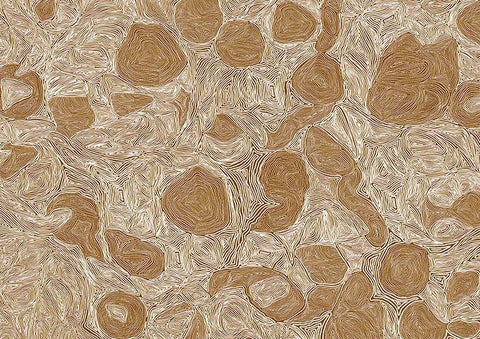 Systems Brown Ochre by Bunya Designs. Unique brown and natural toned Australian indigenous art cream and light brown swils represending the land. 