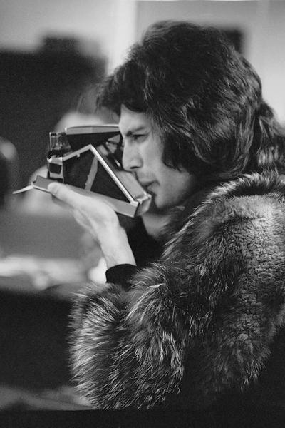 Freddie In Furs by Getty Images (UK) Ltd - Vintage black and white photograph of Freddie Mercury squinting into a polaroid camera taking a photo wearing a fur jacket