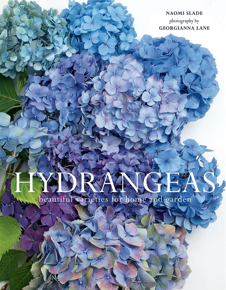 Hydrangeas by Naomi Slade - Tones of blue hydrangeas fill this book cover with rich colours.