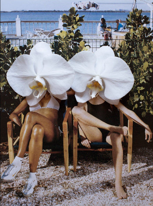 Ladies in Waiting by Dina Broadhurst - Collage artwork of two ladies sitting with crossed knees in chairs with large phalaenopsis orchids as heads