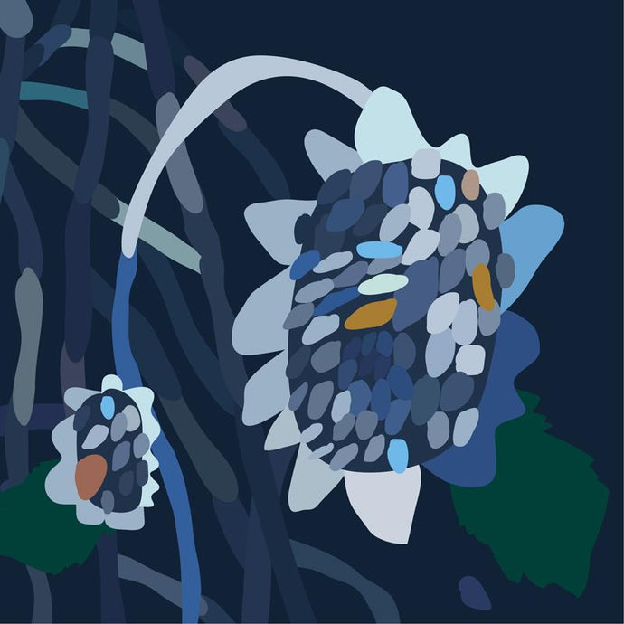 Night Daisy I by Kimmy Hogan - Blue toned print art with dropping blue daisy flower in the night