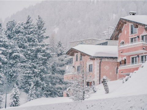 Pinks and Peaches by Stuart Cantor - A photographic print of two pink houses and trees in the snow.