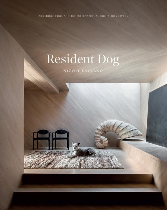 Resident Dog (Volume 2) by Nicole England - An image of an architectural interior space with a dog sitting comfortably in the centre of the image.