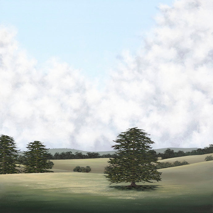 Southern Gentlemen by Debbie Mackenzie - A green country landscape with trees, blue sky and clouds